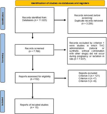 Behavioral effects on the offspring of rodent mothers exposed to Tetrahydrocannabinol (THC): A meta-analysis